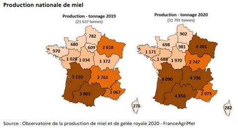 Les plus grandes hausses de rendement des ruches en miel se situent dans le centre et l’est de la France. © FranceAgriMer