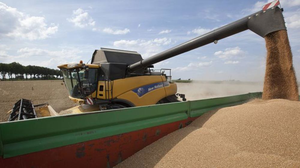 Après un record, les cours du blé tendre se détendent