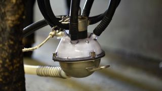 Le prix du lait européen atteint 385 €/1 000 litres en octobre Le prix du lait européen atteint 385 €/1 000 litres en octobre
