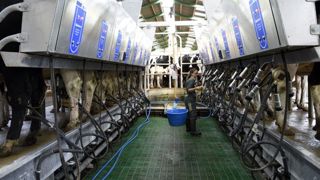 La FNPL ne se satisfait pas du prix du lait acté par Bel La FNPL ne se satisfait pas du prix du lait acté par Bel