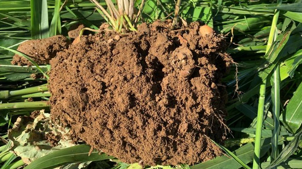 L’Union européenne veut promouvoir le « carbon farming »