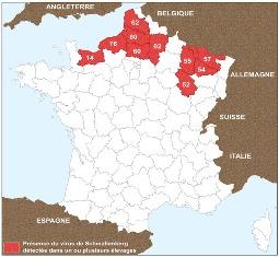 carte virus de schmallenberg