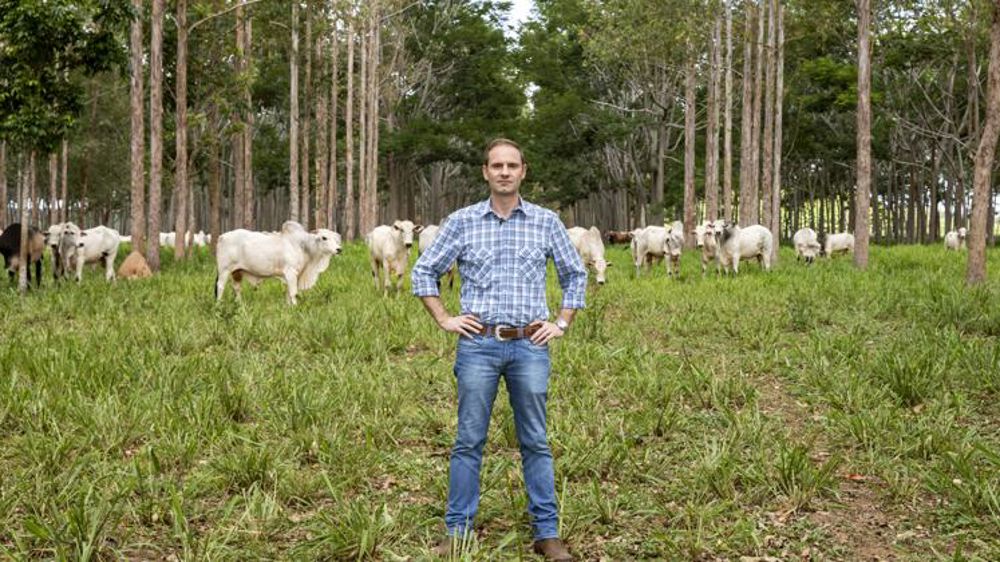 Au Brésil, se diversifier pour plus de durabilité