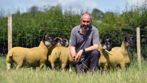 Les agriculteurs nord-irlandais pris en tenaille après le Brexit