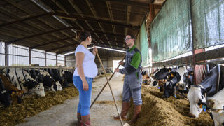 Soutenue par de nombreux groupes politiques, l'idée d'augmenter le crédit d'impôts pour remplacement en agriculture a été rejetée. Soutenue par de nombreux groupes politiques, l'idée d'augmenter le crédit d'impôts pour remplacement en agriculture a été rejetée.