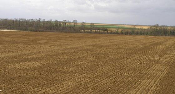 Au printemps, il faudra plus que jamais être particulièrement vigilant et bien respecter les consignes largement diffusées concernant l’implantation des linières : préparation du sol avec une terre bien ressuyée, respect des conditions de semis et surtout maîtrise de la profondeur de semis.