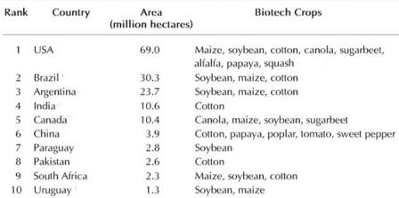 Les dix premiers producteurs d’Ogm en cultivent chacun plus d’un million d’hectares.