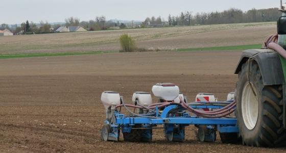 Le semis de tournesol doit avoir lieu dans un sol suffisamment réchauffé.