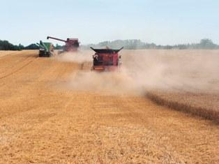 Une coupe de 23 milliards de dollars sur le prochain Farm Bill a été proposée