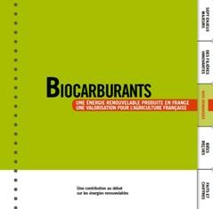 filière Biocarbirants contribuerait à réindustrialiser 
