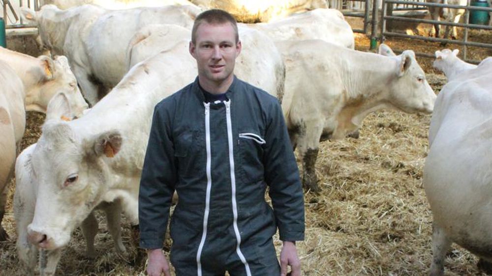 Une conduite rigoureuse pour un élevage bovin allaitant rentable