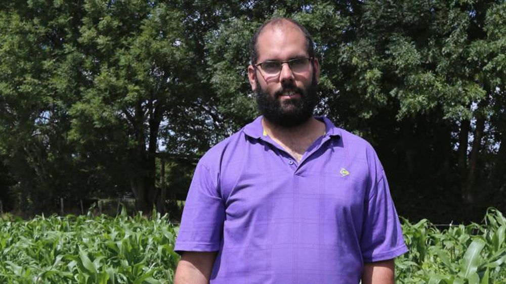 Méteils et fourrages d’été sécurisent les stocks