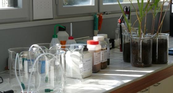 L'Inra a signé trois accords cadres avec la distribution à l'occasion du Sia.