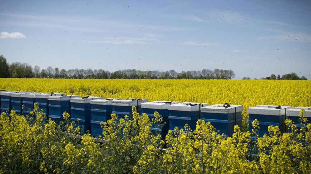 Le thiaclopride interdit dans l’Union européenne