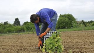 La Coordination rurale défend une retraite anticipée La Coordination rurale défend une retraite anticipée