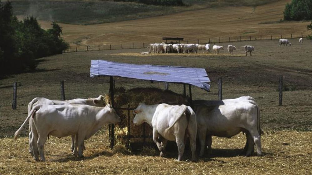 2018, une année de disparités