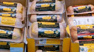 Les acteurs de la filière du foie gras « en danger » Les acteurs de la filière du foie gras « en danger »