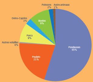 Répartition de la demande d’aliments du bétail par type d’élevage. © FranceAgriMer