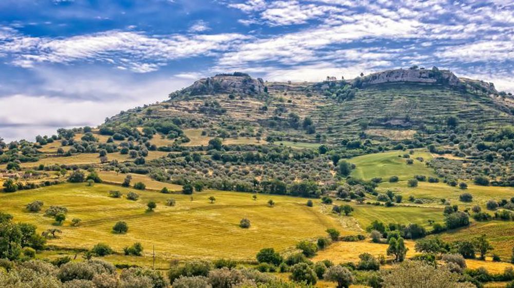 La mafia détournait des aides destinées aux agriculteurs