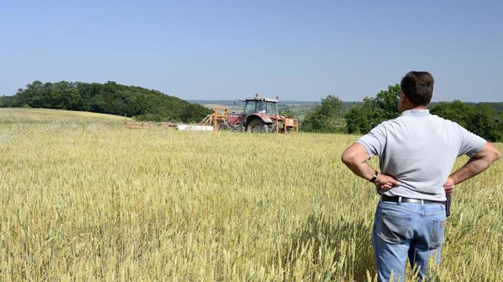 Pas de repêchage massif pour les contrats courts