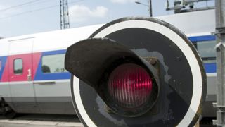 Le TGV percute un troupeau de vaches Le TGV percute un troupeau de vaches