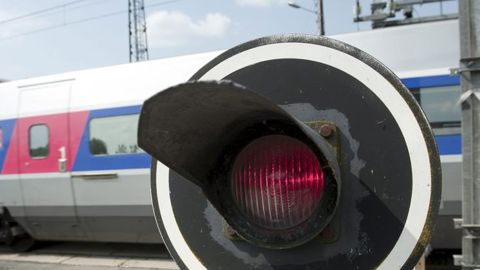 Le TGV percute un troupeau de vaches Le TGV percute un troupeau de vaches