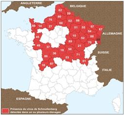 carte virus de Schmallenberg