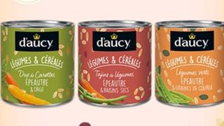 La Région Bretagne entre au capital du groupe D’Aucy La Région Bretagne entre au capital du groupe D’Aucy