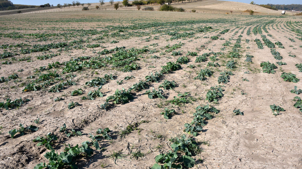 Attendre la sortie de l’hiver pour retourner