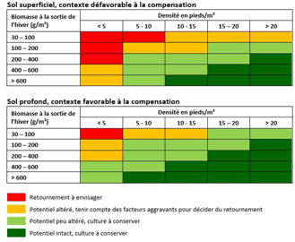 Règles de décision pour le retournement du colza. © Terres Inovia