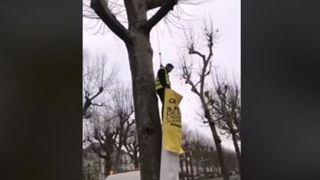 Suspendus aux arbres pour réclamer leur paiement Suspendus aux arbres pour réclamer leur paiement