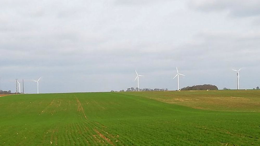 Des cultures « très en avance » dans le Nord