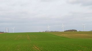 Des cultures « très en avance » dans le Nord Des cultures « très en avance » dans le Nord