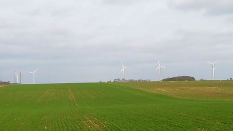Des cultures « très en avance » dans le Nord Des cultures « très en avance » dans le Nord