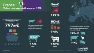 En valeur, l’Irlande exporte davantage vers la France En valeur, l’Irlande exporte davantage vers la France
