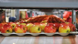 Moins de pommes en stock, mais plus de poires Moins de pommes en stock, mais plus de poires
