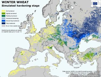 Carte de simulation de l’endurcissement du blé tendre en Europe au 12 janvier 2019. © Union européenne