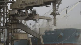 Les exportations de céréales ont bondi de 37 % Les exportations de céréales ont bondi de 37 %