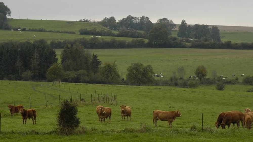 Mise à jour des montants