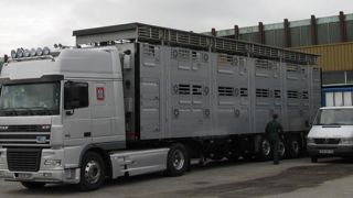 Des eurodéputés veulent géolocaliser les camions Des eurodéputés veulent géolocaliser les camions