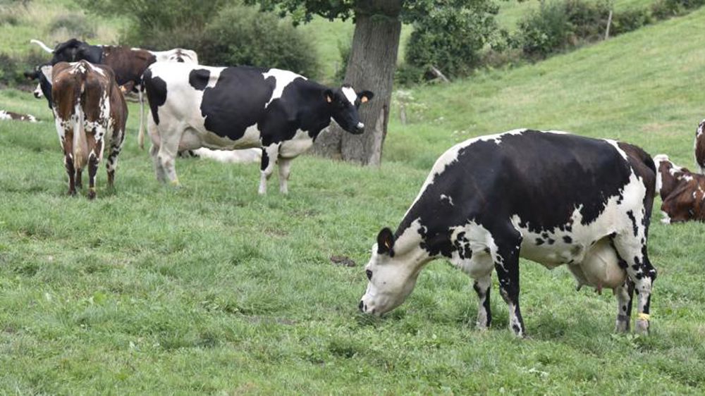 Agrial revalorise sa prime de conversion