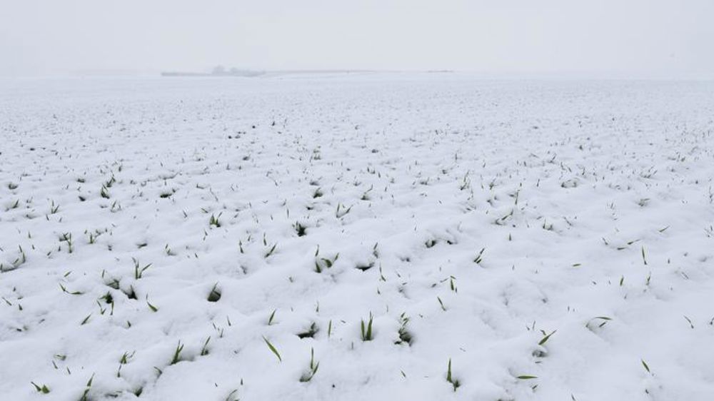 Un mois de janvier contrasté