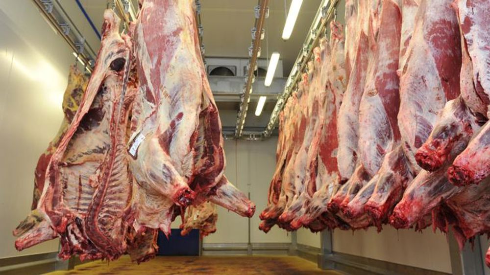 La filière bovine franchit la première étape