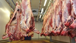 La filière bovine franchit la première étape La filière bovine franchit la première étape