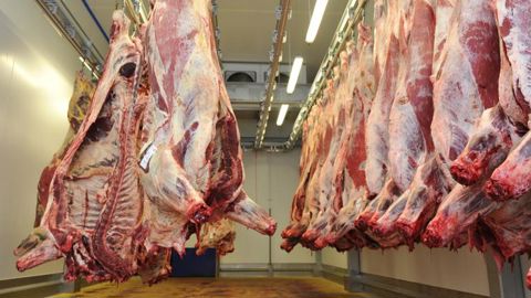 La filière bovine franchit la première étape La filière bovine franchit la première étape