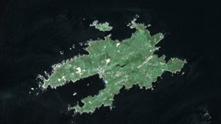 L’île d’Ouessant cherche son éleveur bio L’île d’Ouessant cherche son éleveur bio