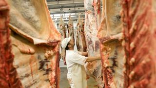 La qualité du contrôle sanitaire en question La qualité du contrôle sanitaire en question