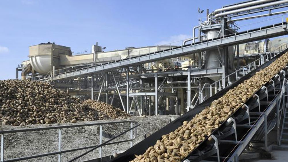 Une campagne contrastée pour Cristal Union et Tereos