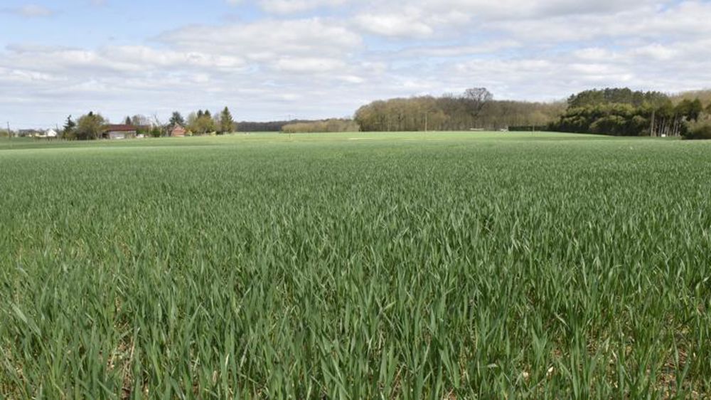 187 millions versés par Groupama