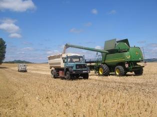 Les prévisions de températures très favorables jusqu'à l'été favoriseraient  une baisse des cours agricoles